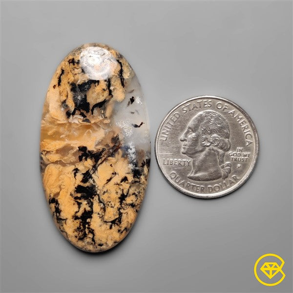Dendritic Agate