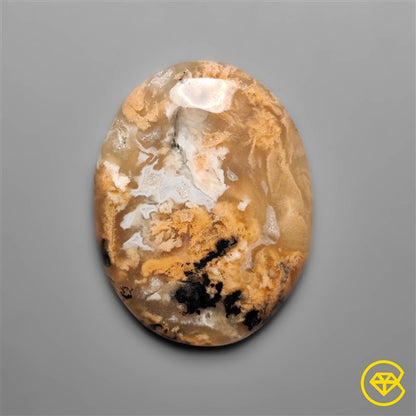 Dendritic Agate
