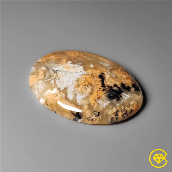 Dendritic Agate