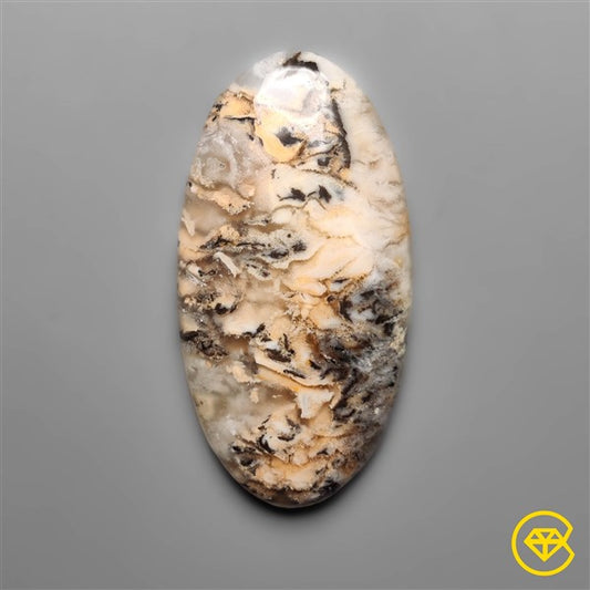 Dendritic Agate