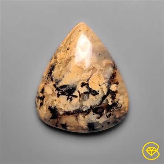 Dendritic Agate