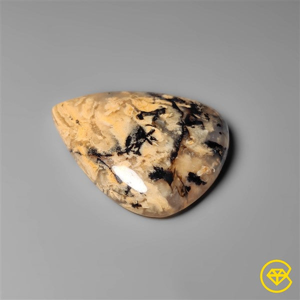 Dendritic Agate