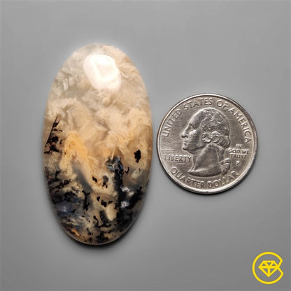 Dendritic Agate