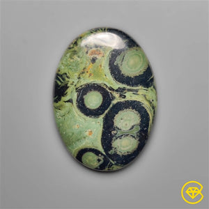 Galaxy Kambaba Jasper Cabochon