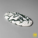 Tree Agate