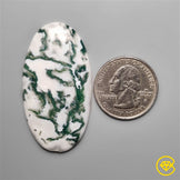 Tree Agate