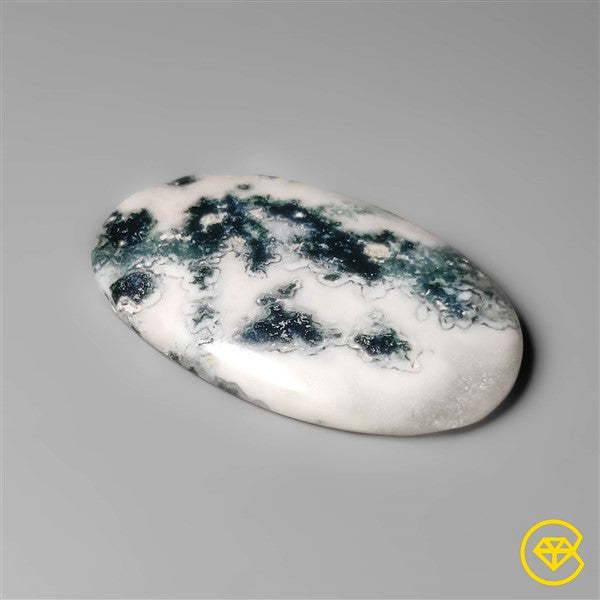 Tree Agate