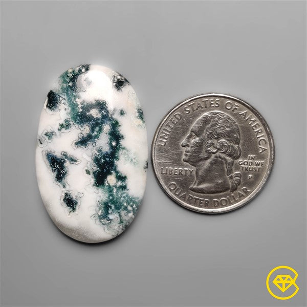 Tree Agate