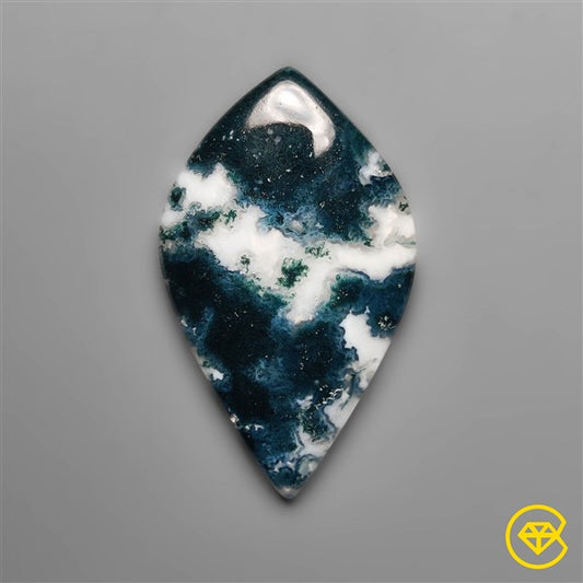 Tree Agate