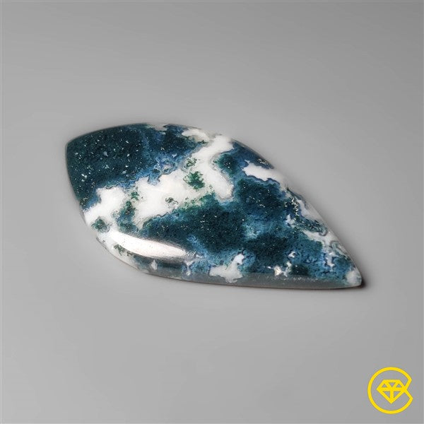Tree Agate