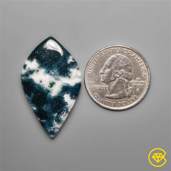 Tree Agate