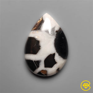 Black Septarian