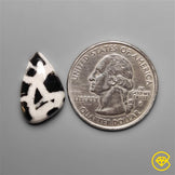 Septarian