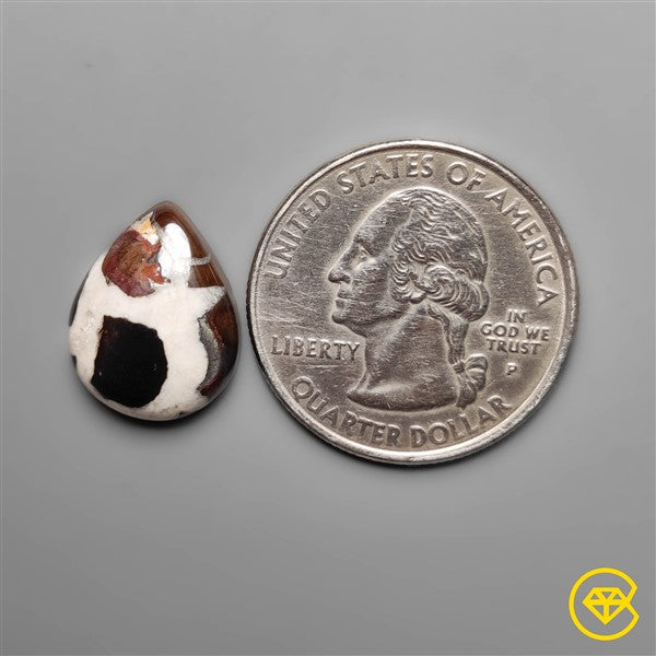 Septarian