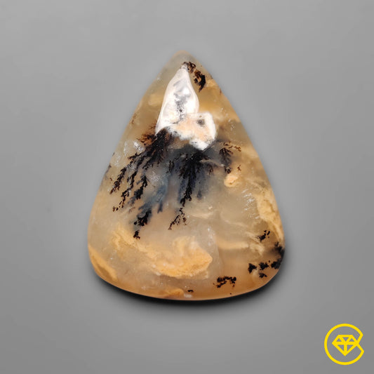 Dendritic Agate