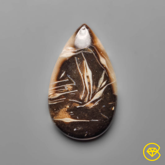 Palmroot Agate