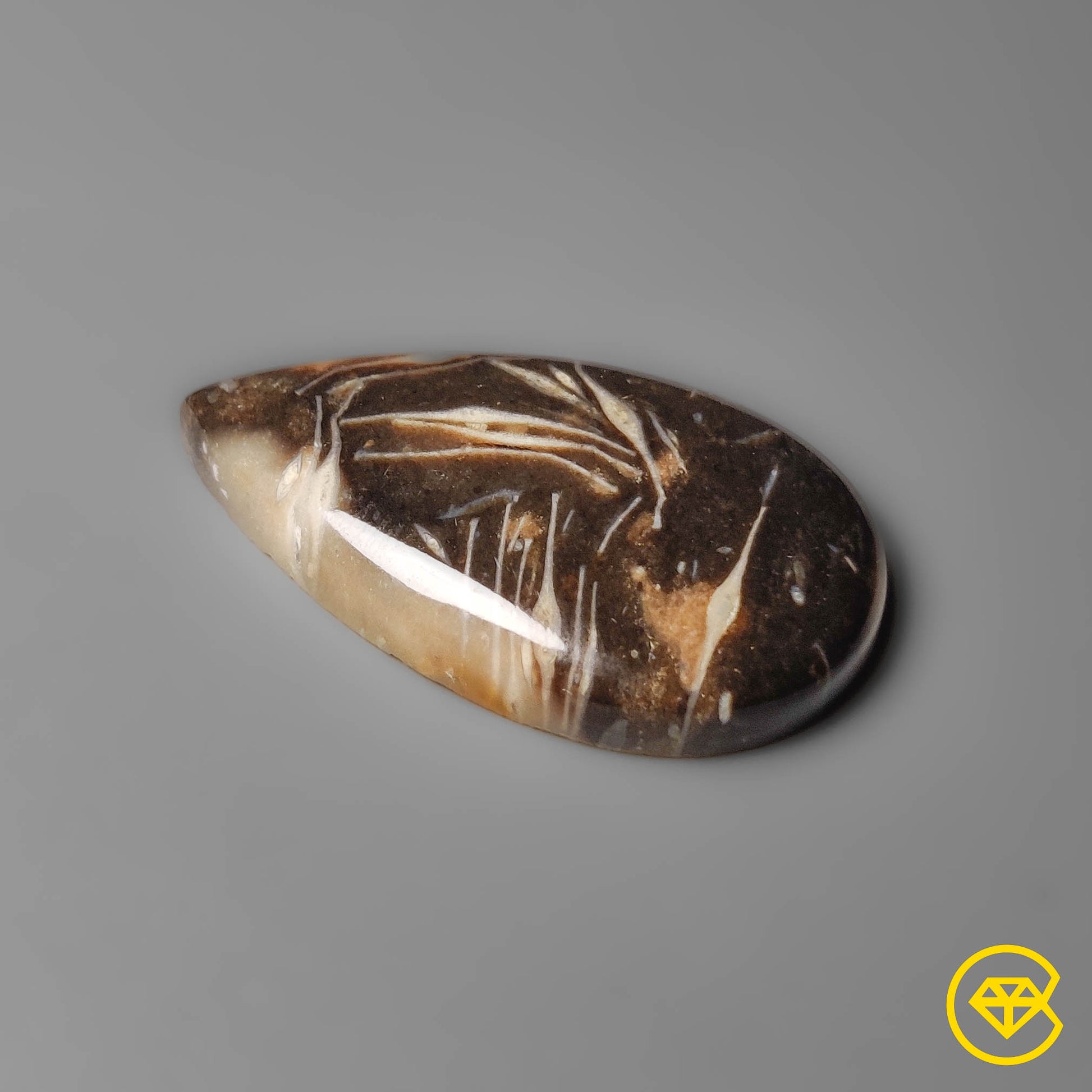 Palmroot Agate