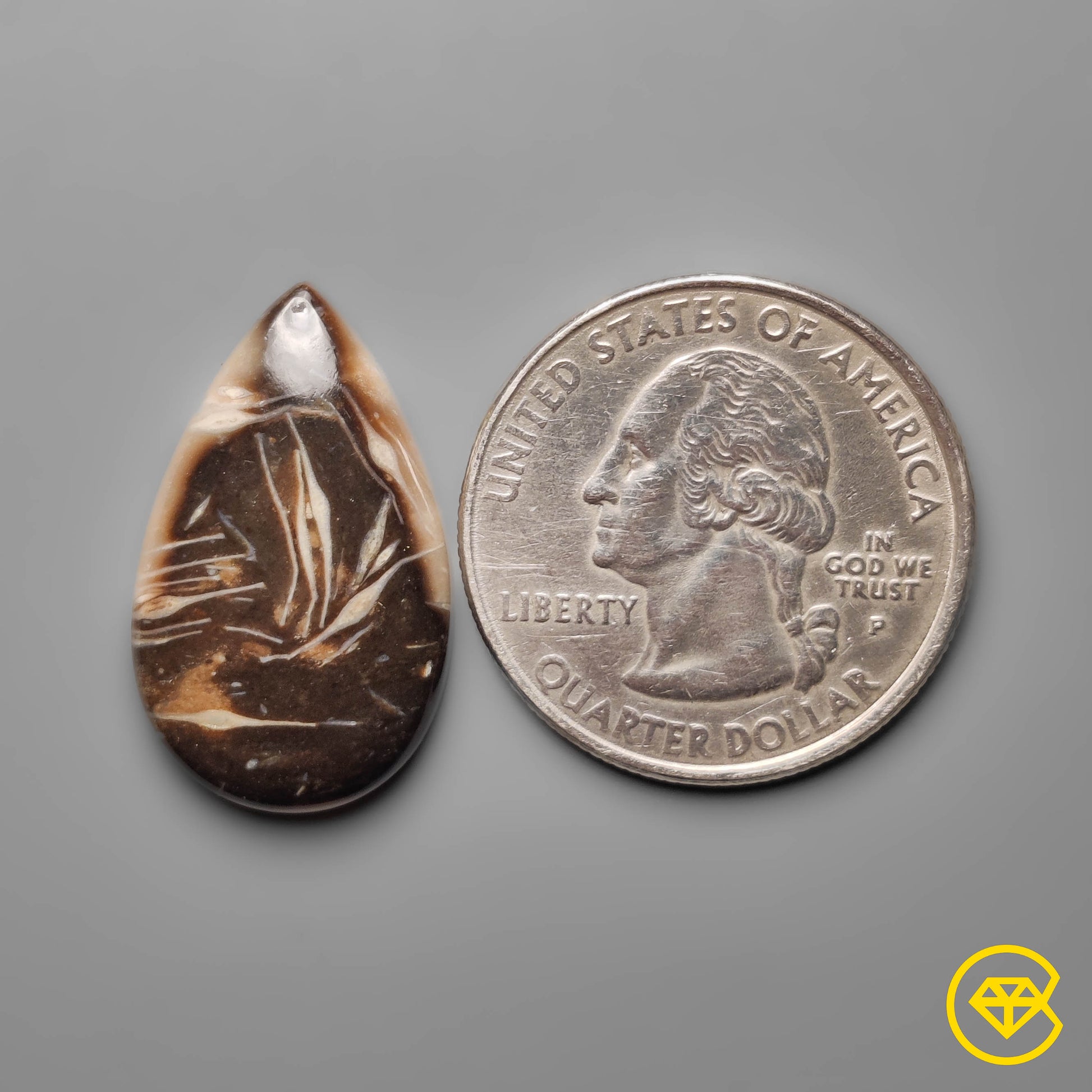 Palmroot Agate