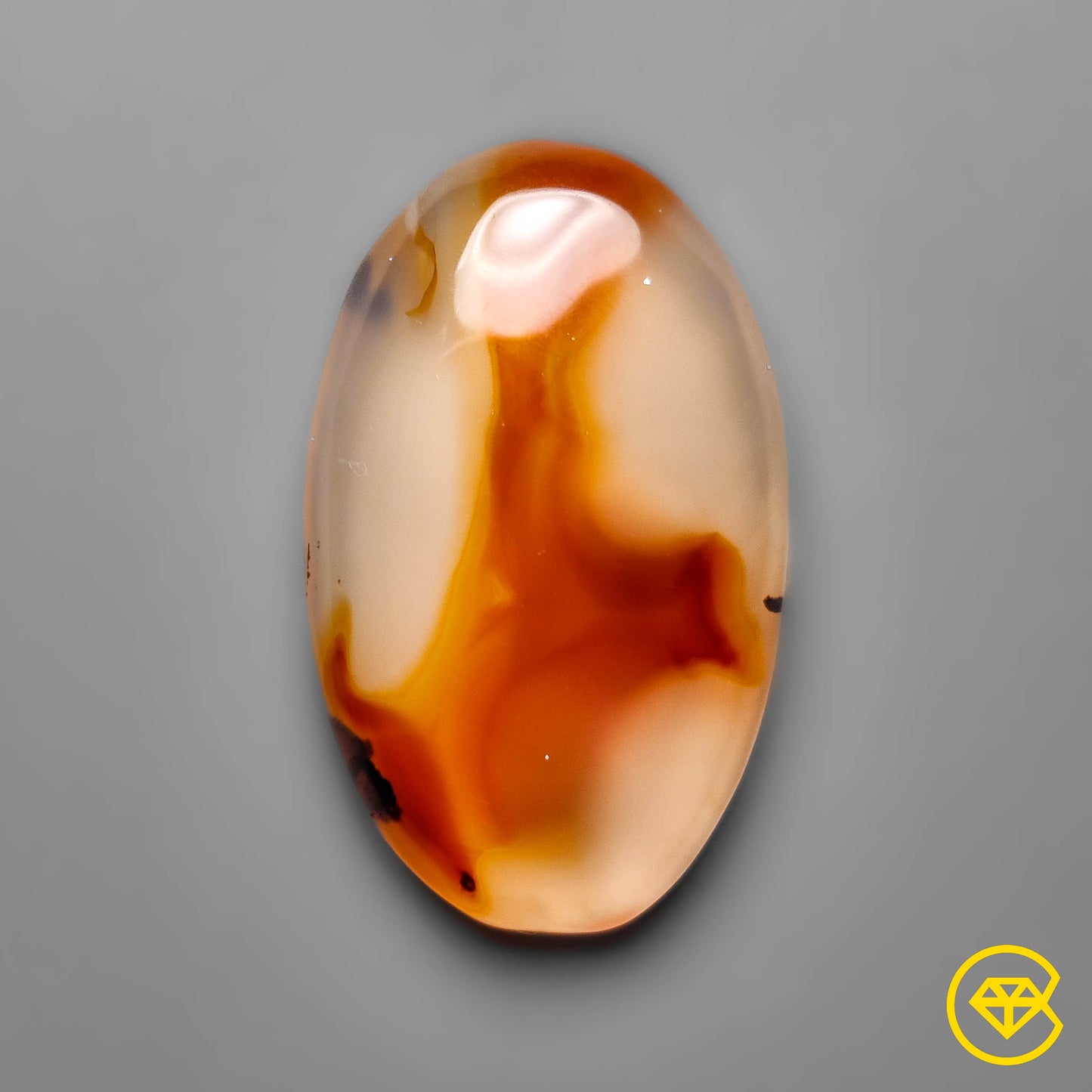 Montana Agate