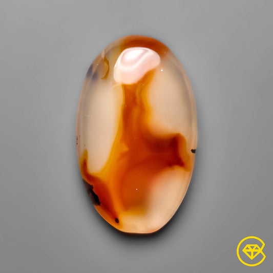 Montana Agate