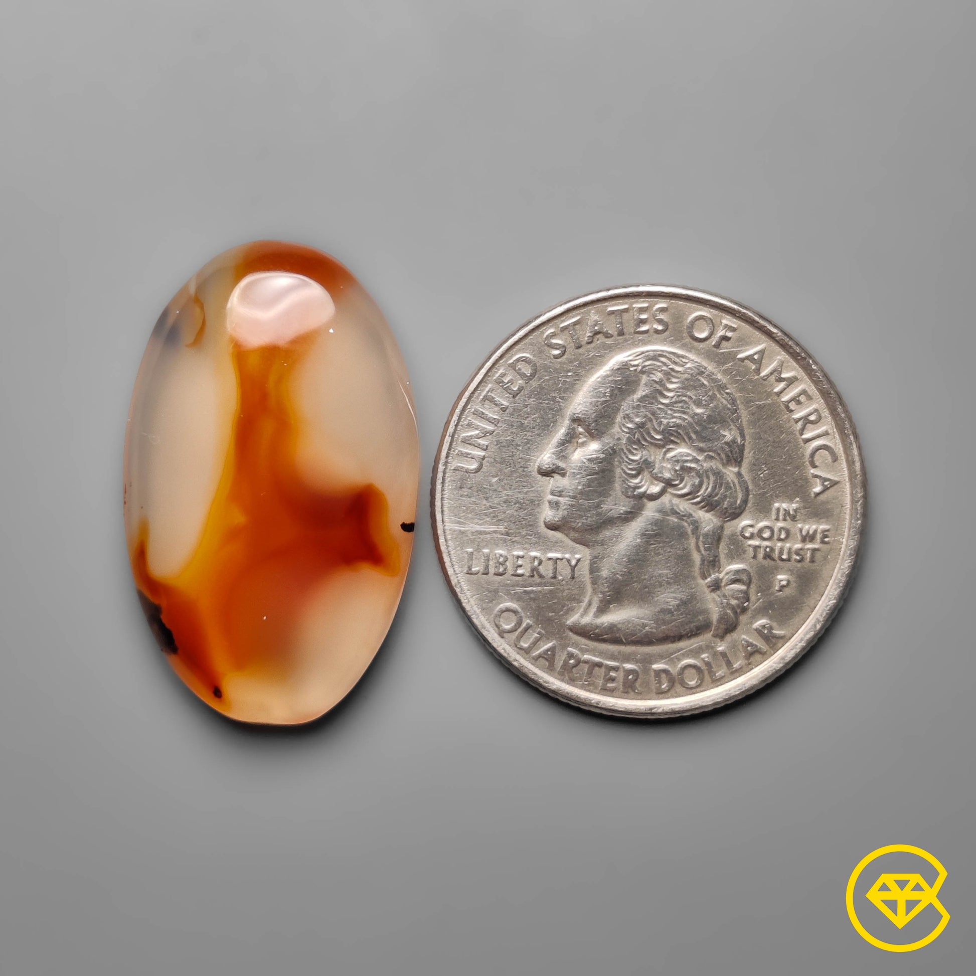 Montana Agate
