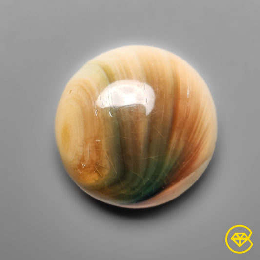 Shiva Eye Shell