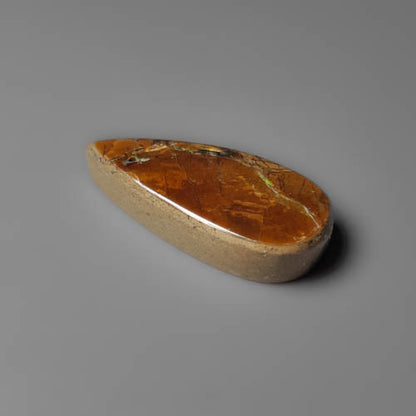 Ammolite