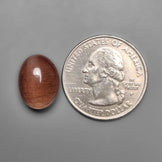 Scapolite