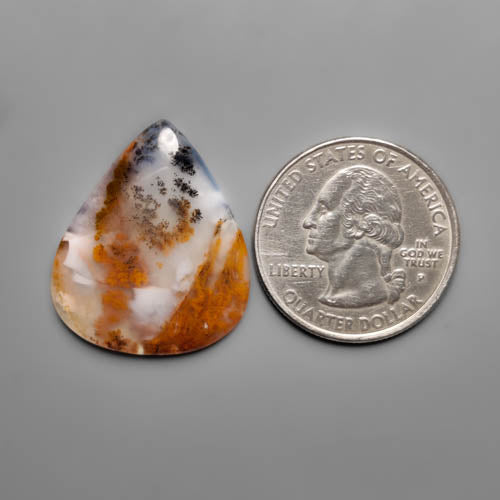 Dendritic Agate