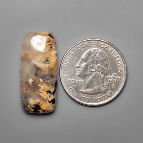 Dendritic Agate