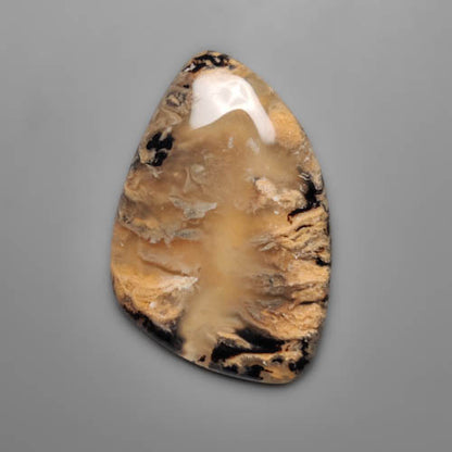 Dendritic Agate