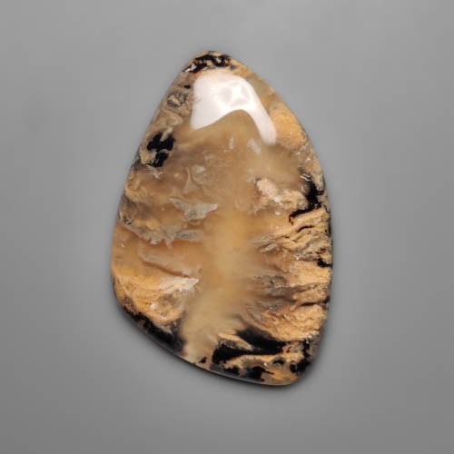Dendritic Agate