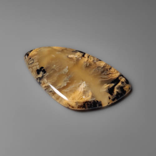 Dendritic Agate