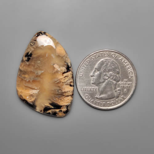 Dendritic Agate