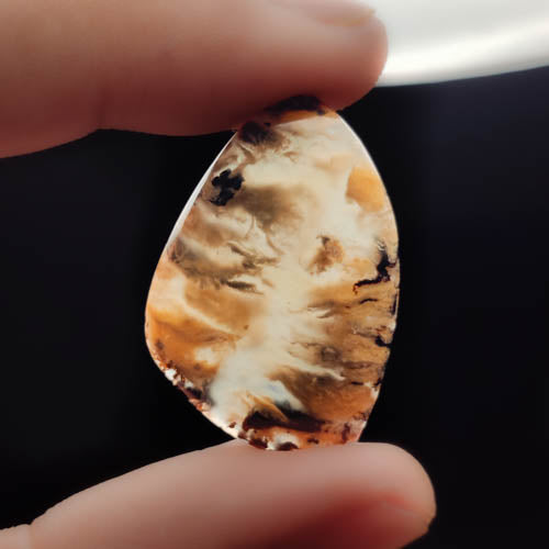 Dendritic Agate