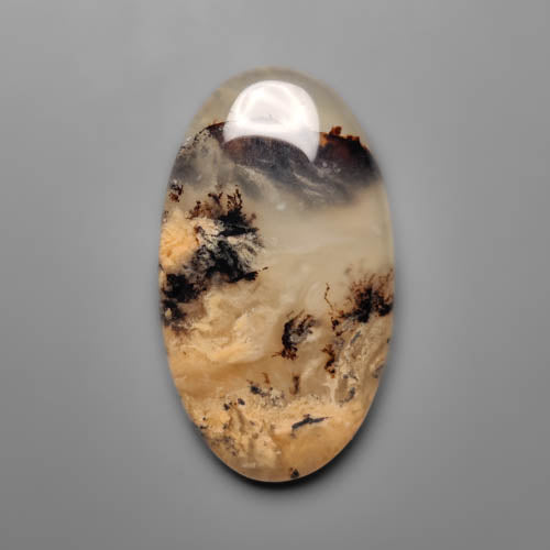 Dendritic Agate
