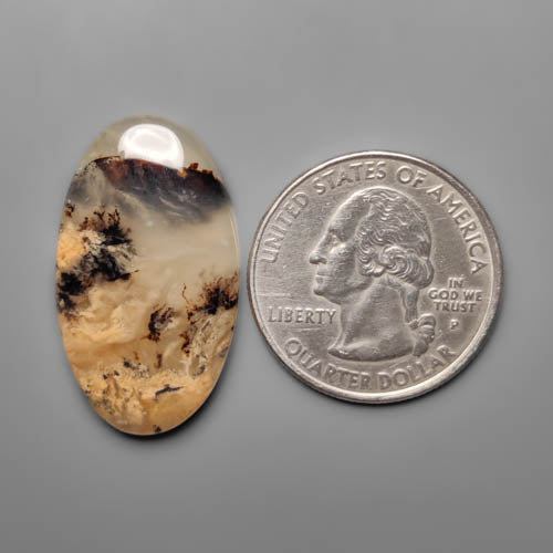 Dendritic Agate
