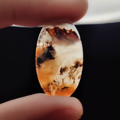 Dendritic Agate