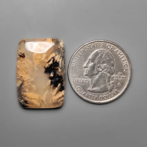 Dendritic Agate