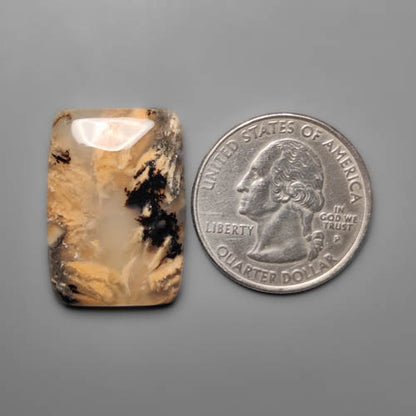 Dendritic Agate