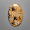 Dendritic Agate