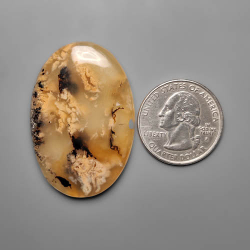 Dendritic Agate