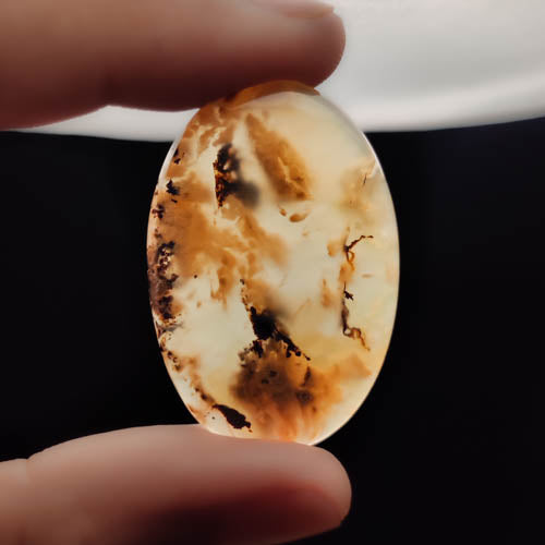 Dendritic Agate