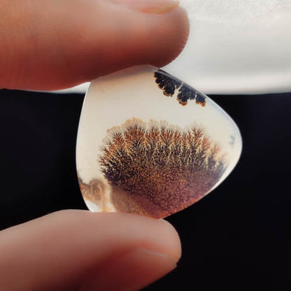 Scenic Agate