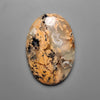 Dendritic Agate