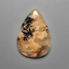 Dendritic Agate