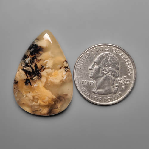 Dendritic Agate