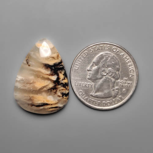 Dendritic Agate
