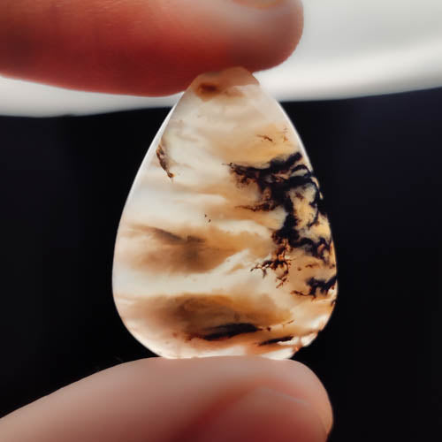 Dendritic Agate