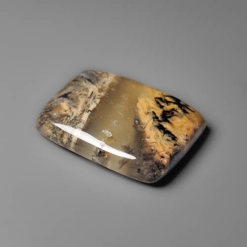 Dendritic Agate